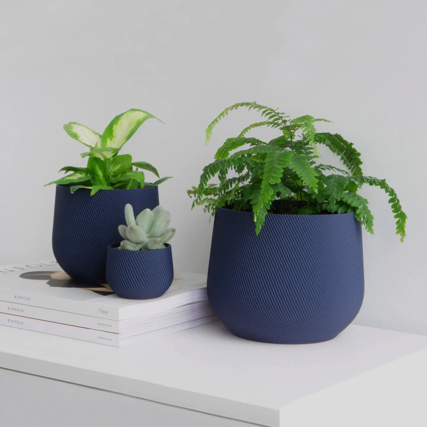 Conifer Homeware - Juniper Planters