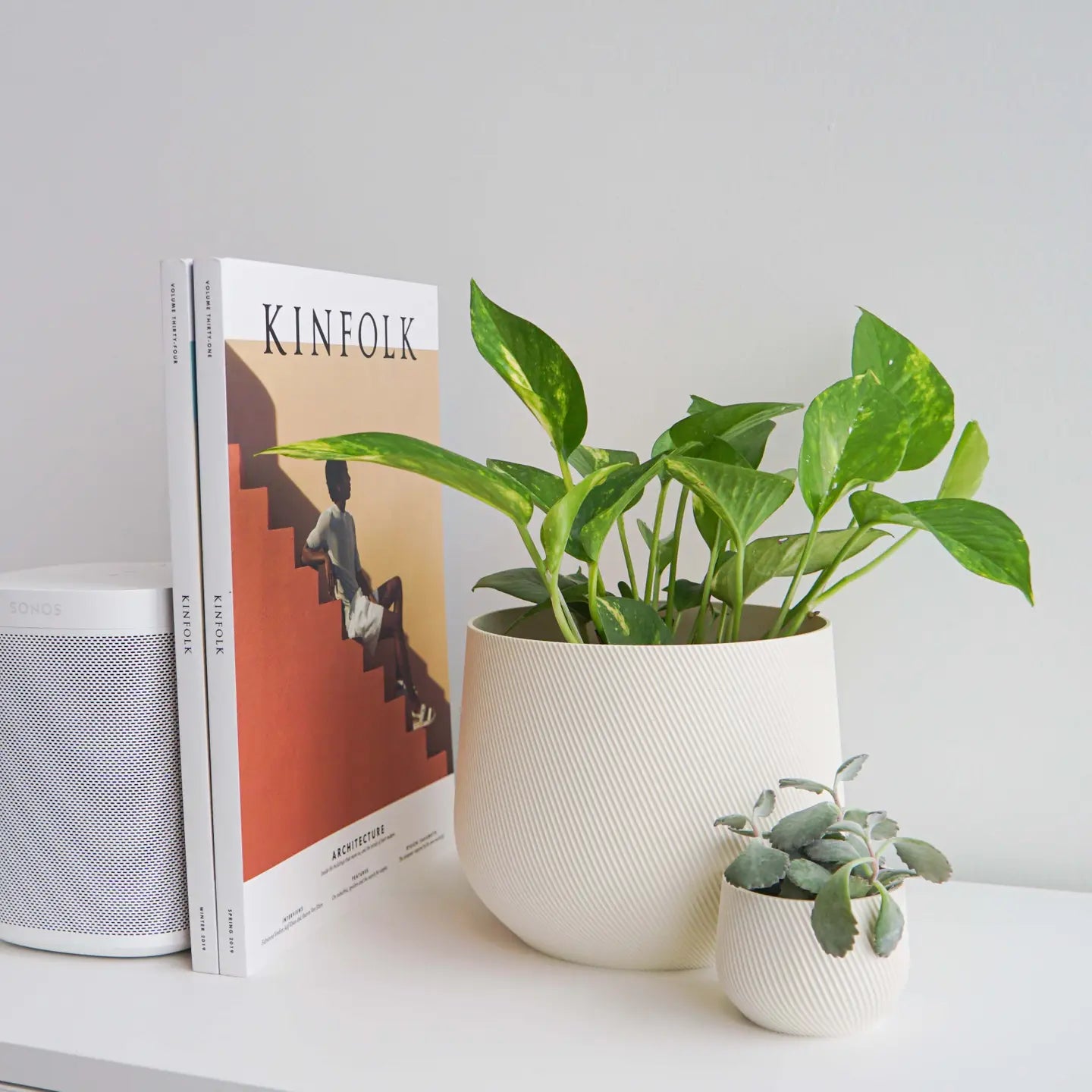 Conifer Homeware - Juniper Planters