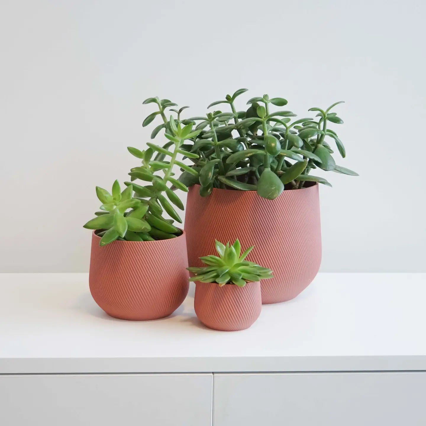 Conifer Homeware - Juniper Planters