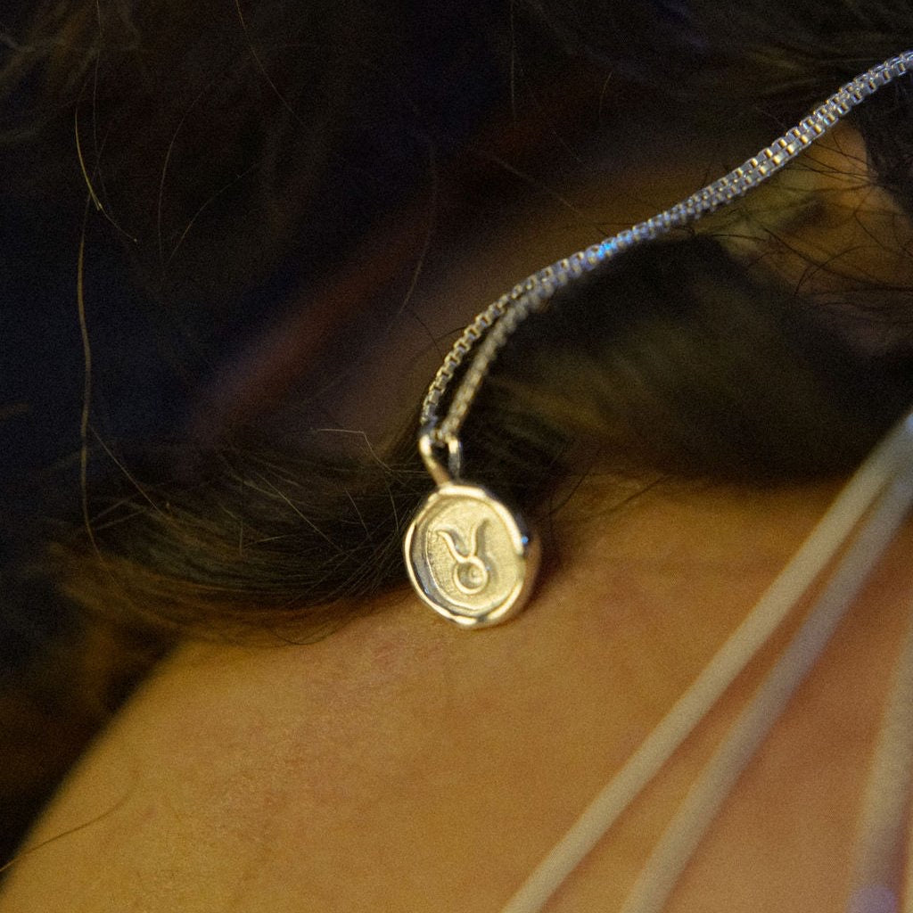 LFJ Sterling Silver Twelve Houses Necklace