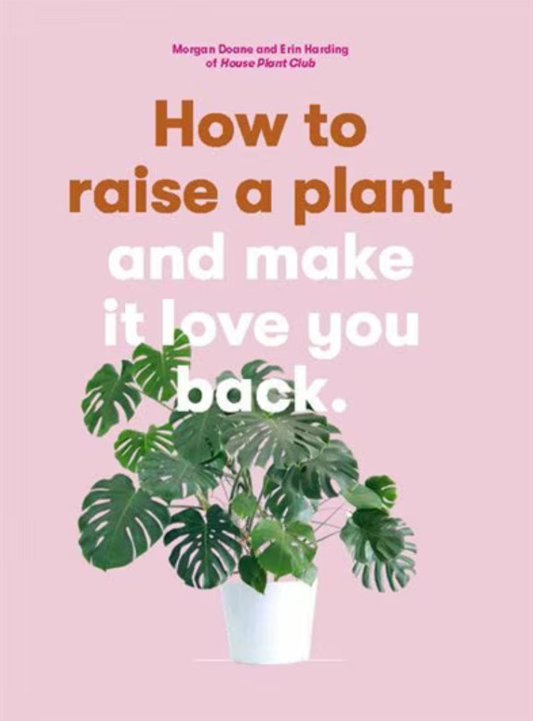 How to Raise a Plant