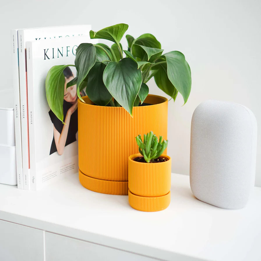 Conifer Homewares - Hemlock Planters