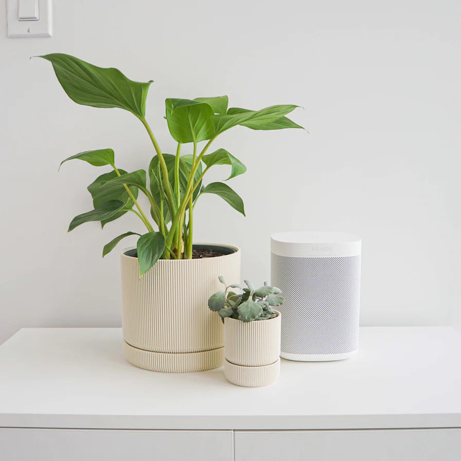 Conifer Homewares - Hemlock Planters