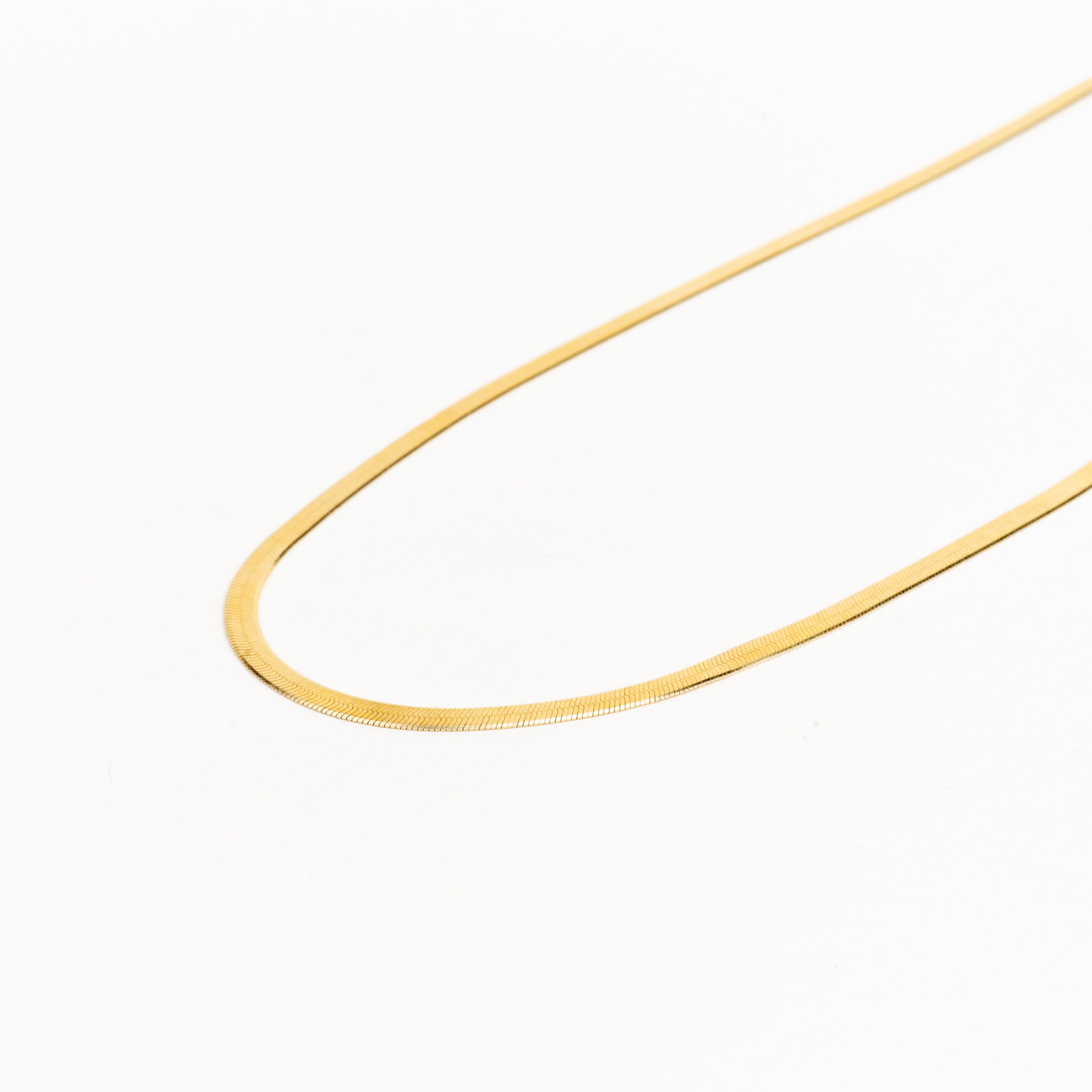 LFJ 14k Gold Herringbone Necklace
