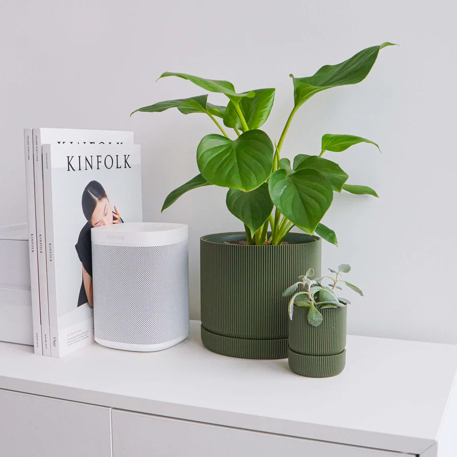 Conifer Homewares - Hemlock Planters