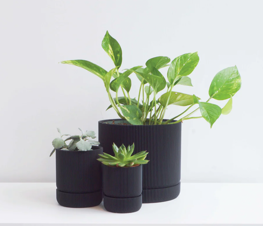 Conifer Homewares - Hemlock Planters