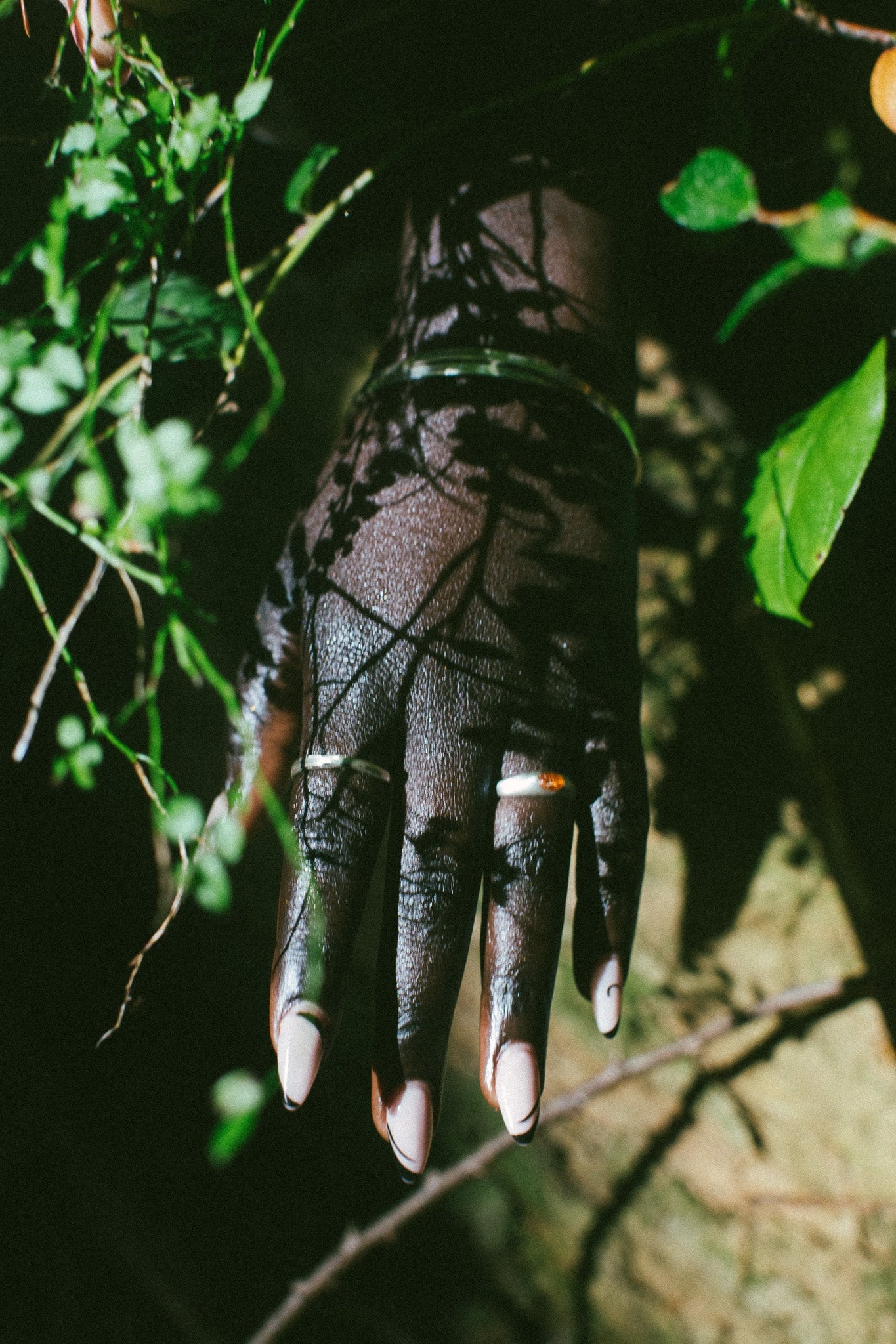 A close-up of a hand wearing silver rings, set against a dark background with green foliage.