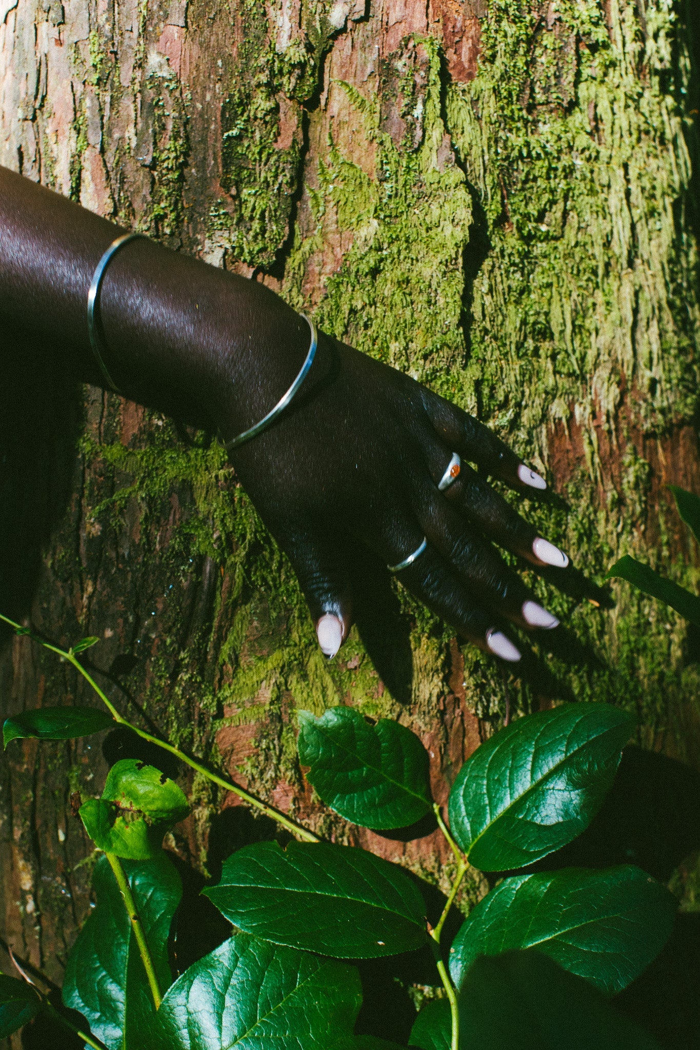 A close-up of a person's hand wearing silver rings resting on a mossy tree trunk, with green leaves in the foreground.