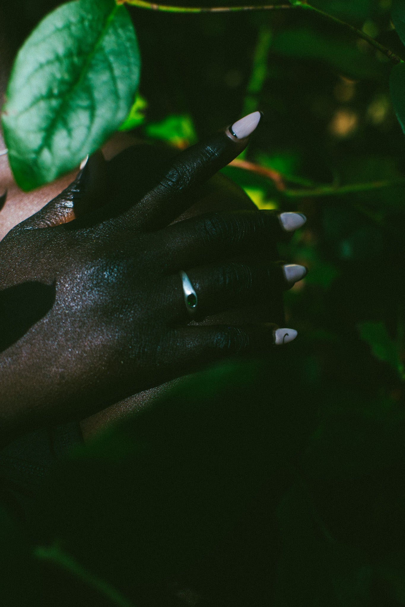 A close-up of a hand wearing a silver band ring, set against a dark background with green leaves.