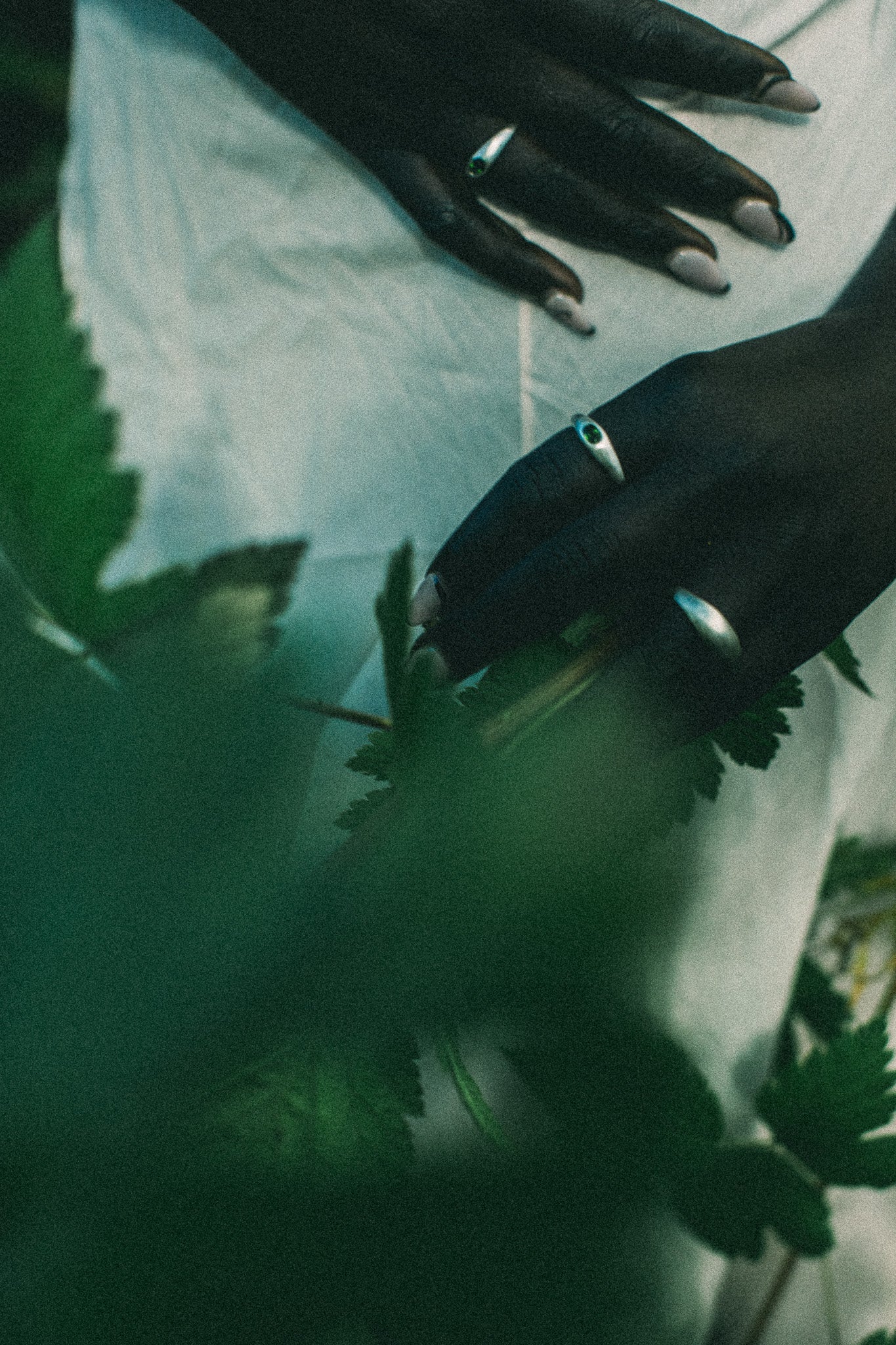 A close-up lifestyle shot of a person's hands with silver rings, resting on a white fabric surface with green leaves in the foreground.