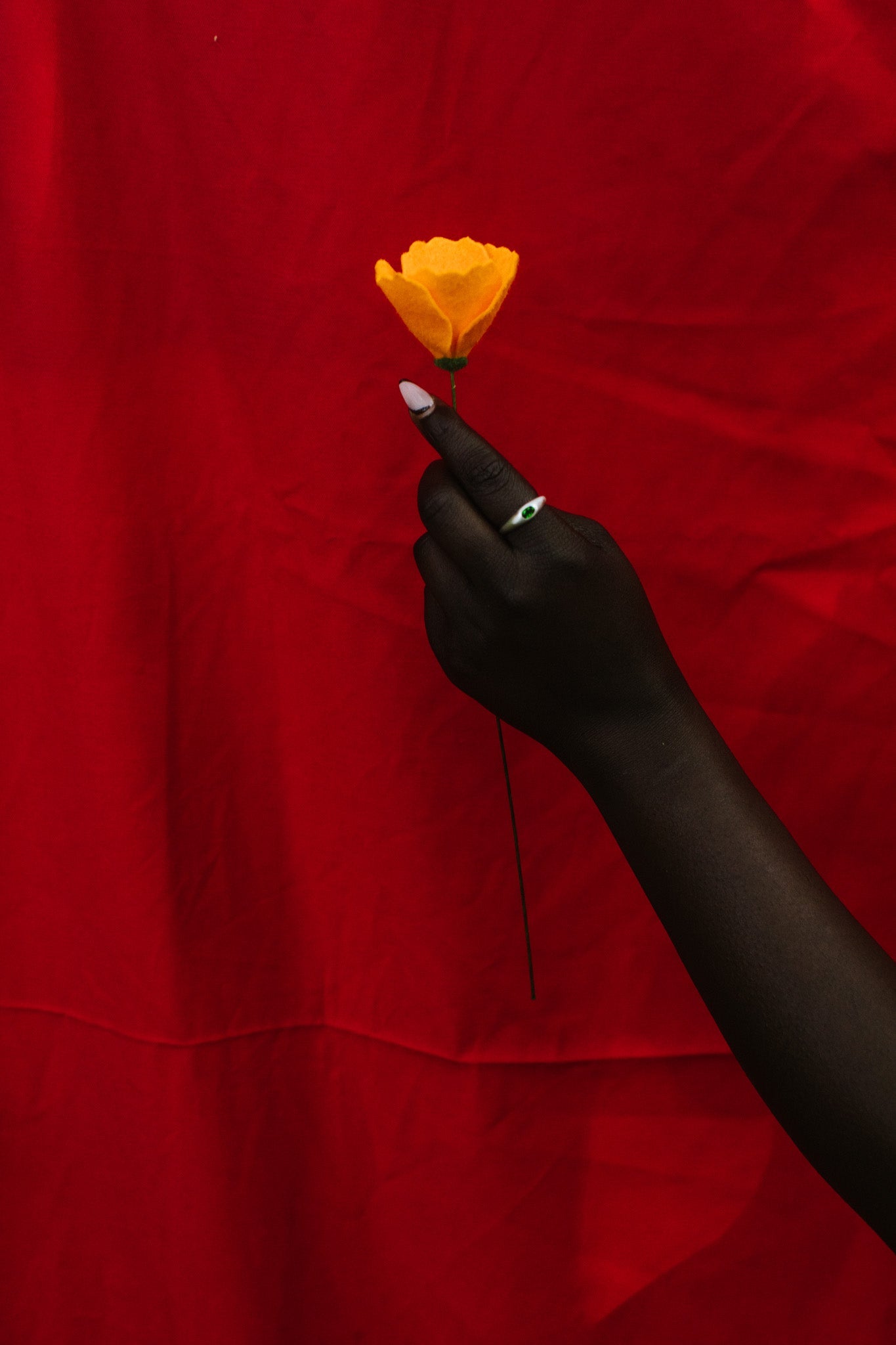 A hand wearing a silver ring holds a single yellow flower against a draped red fabric background.