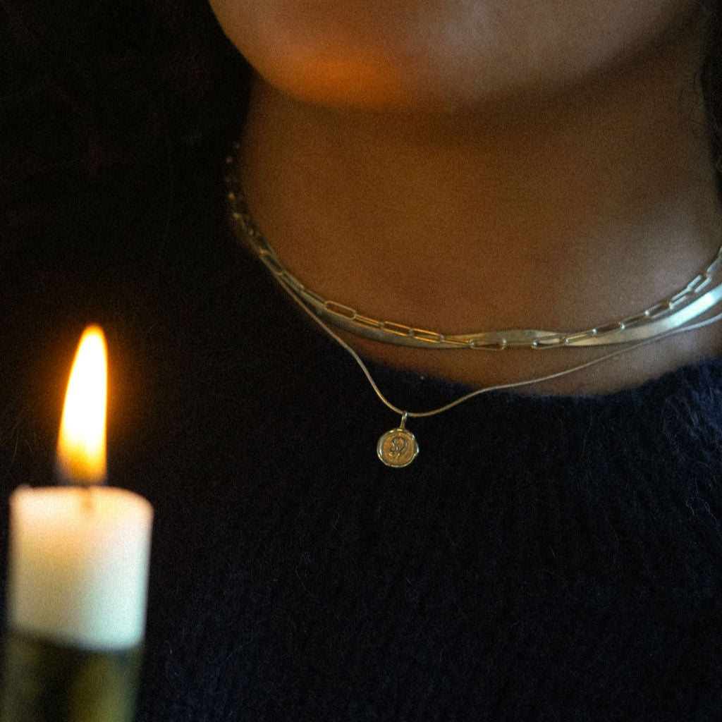 Sterling Silver Twelve Houses Necklace