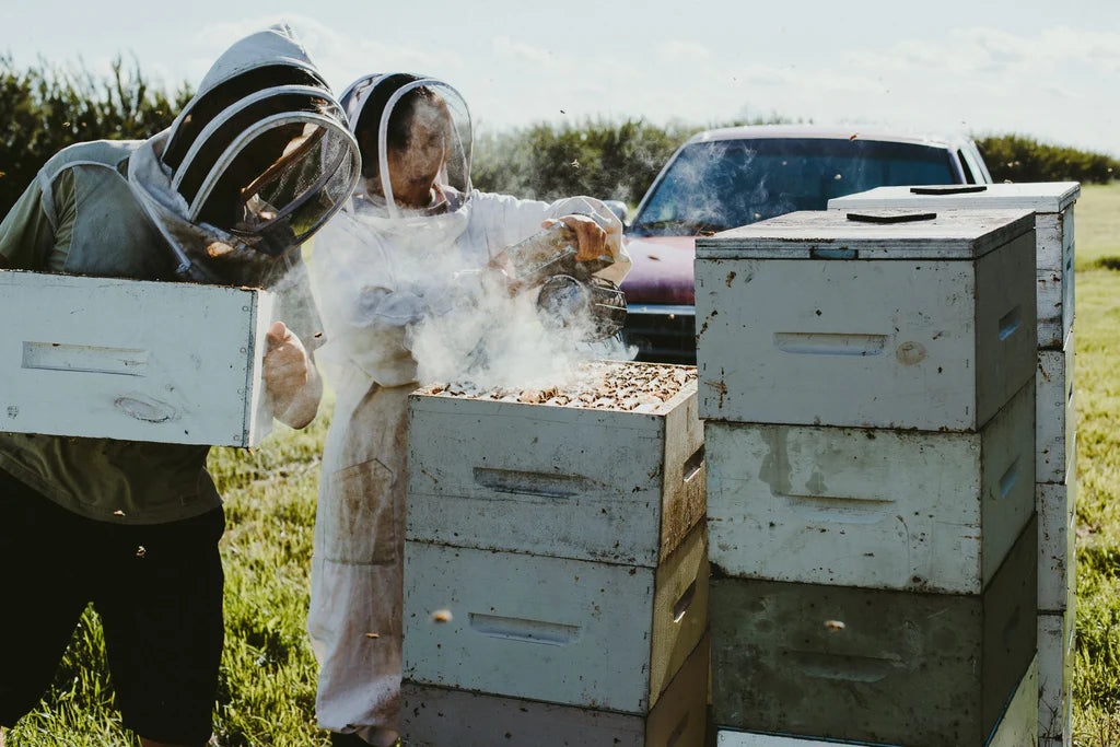 Three Foragers Honey
