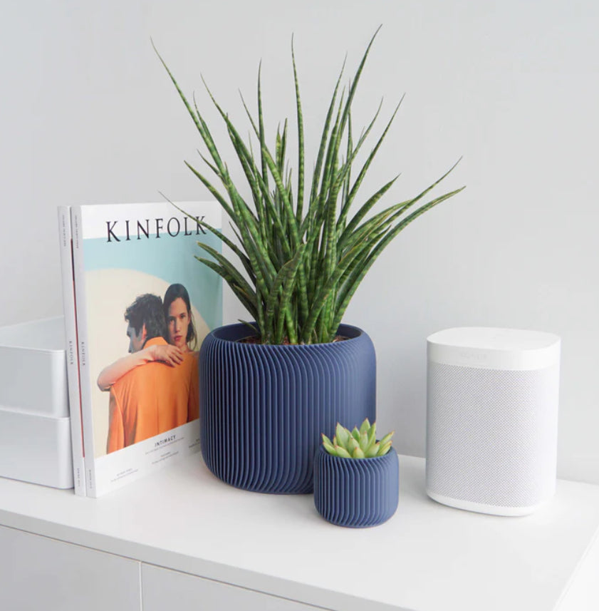 Conifer Pine Planters