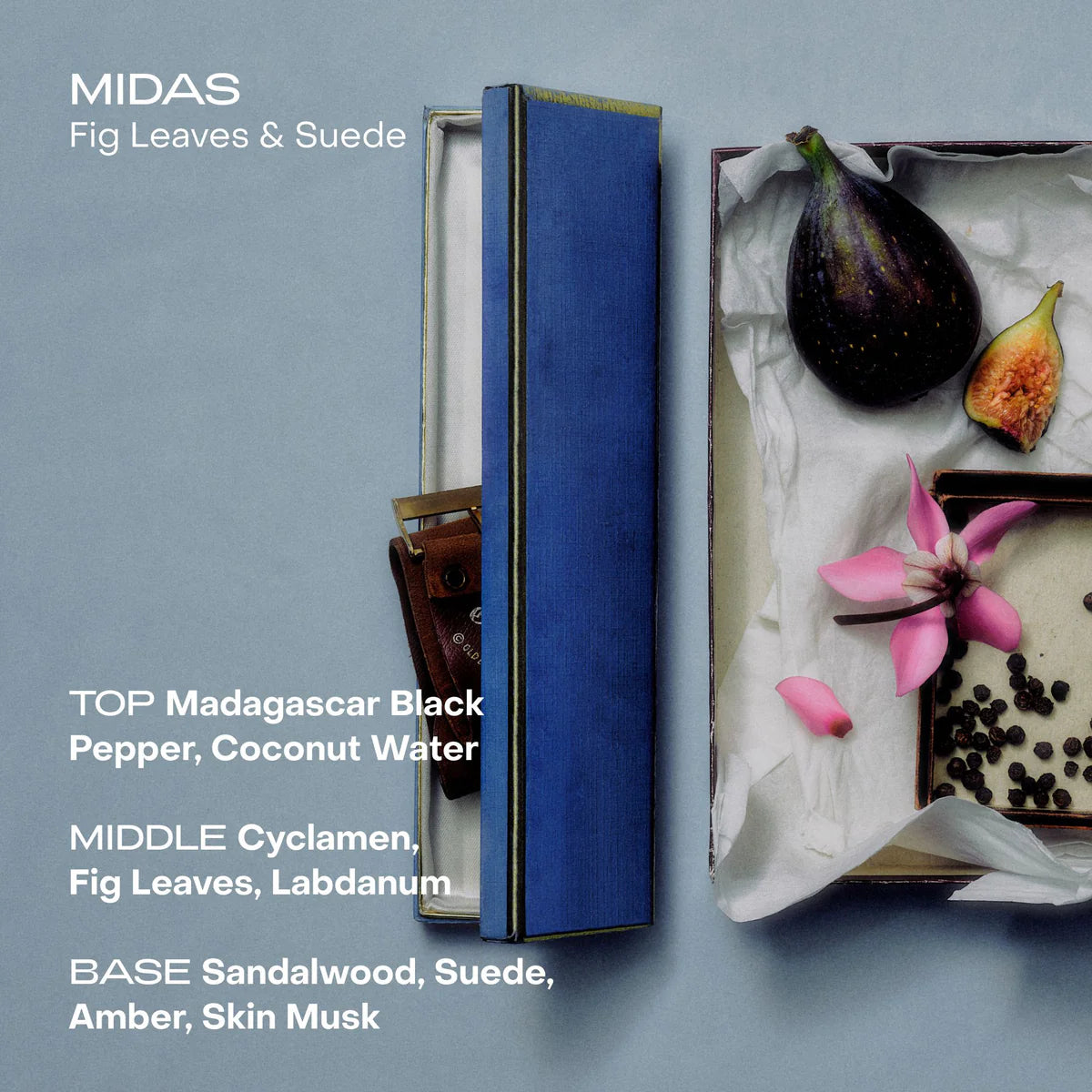 SIDIA - WIRED : L'Exfoliant Corps