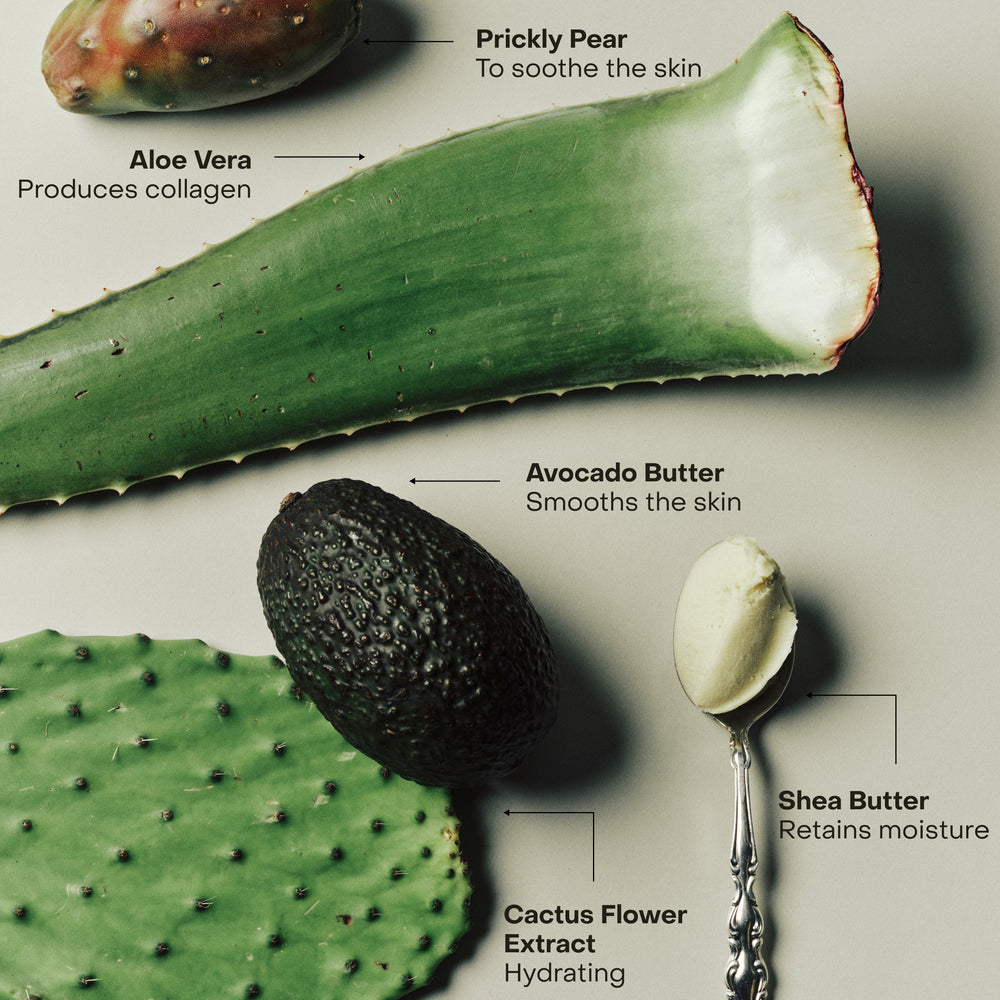 SIDIA - WIRED: The Body Exfoliant