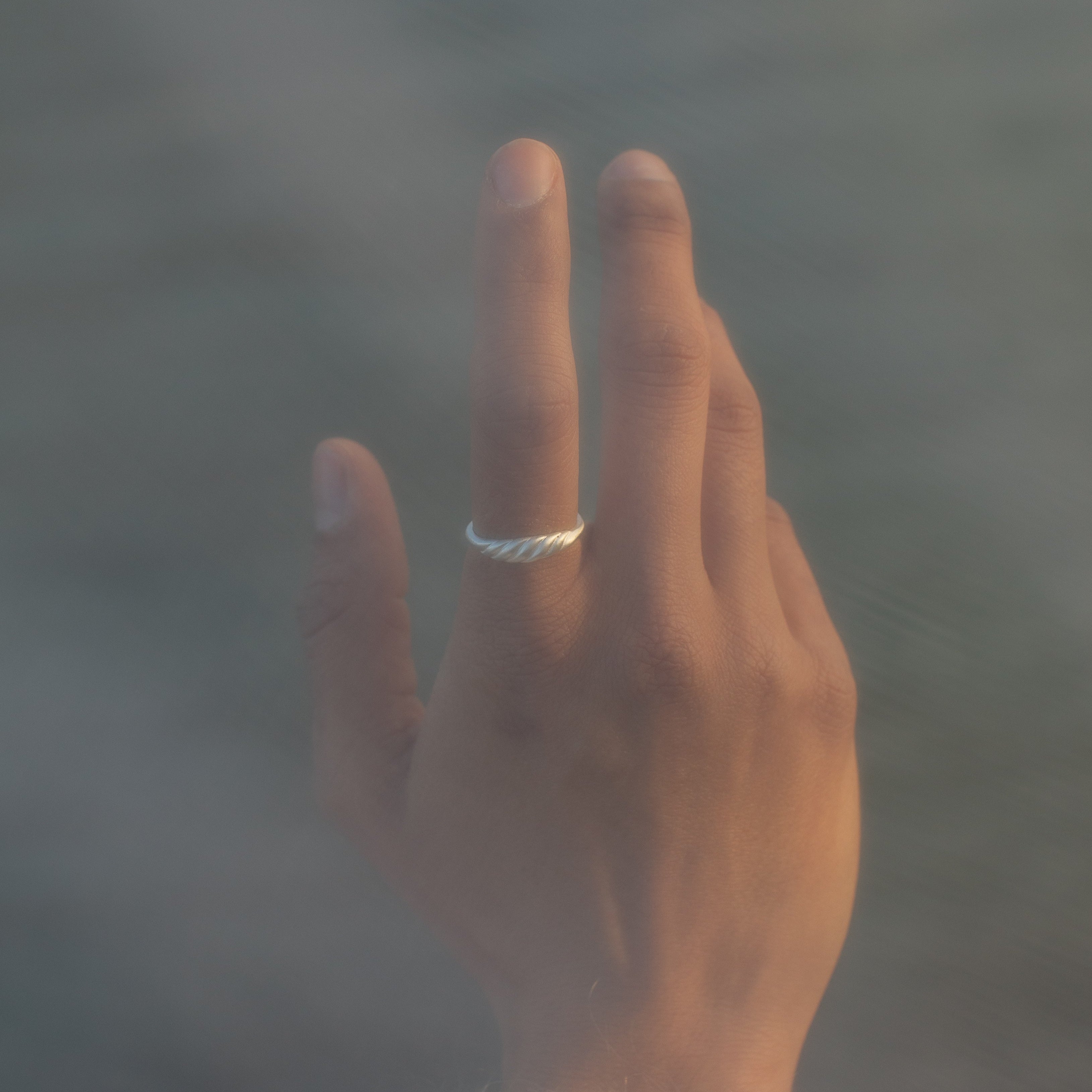 Meridian Signet Ring in Sterling Silver