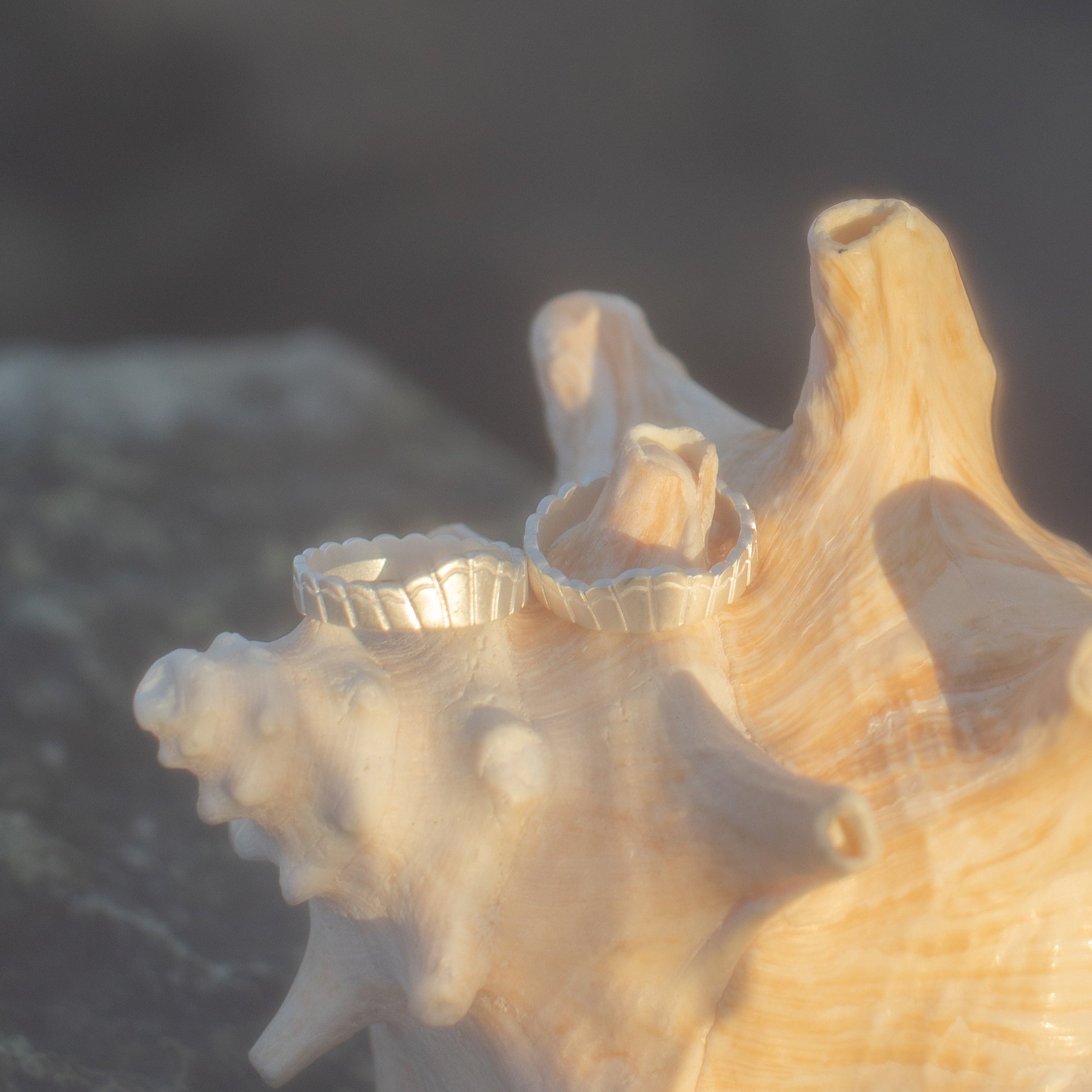 Sterling Silver Meridian Crown Ring