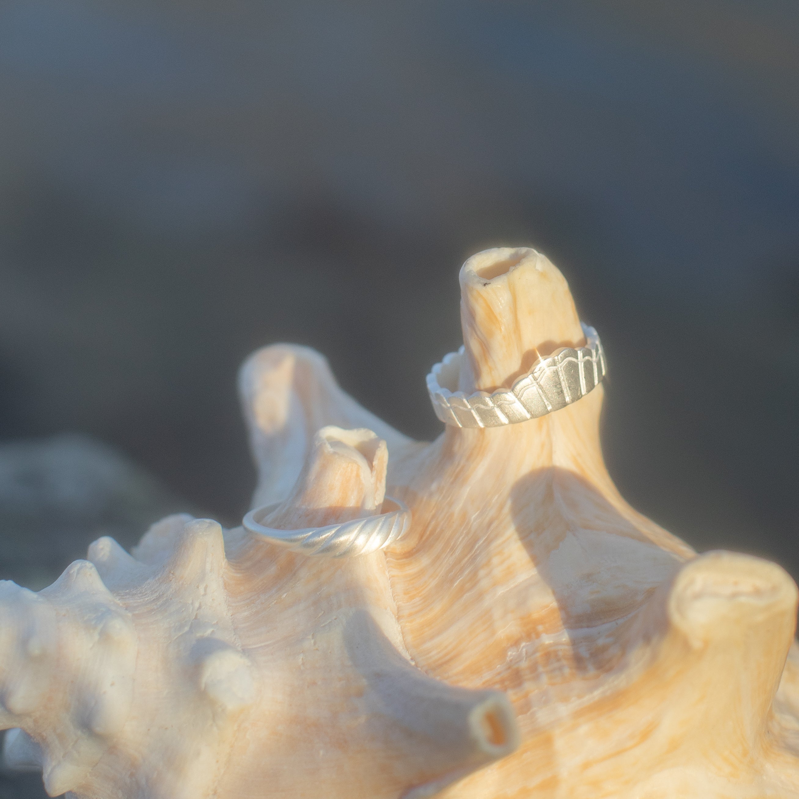 Sterling Silver Meridian Crown Ring