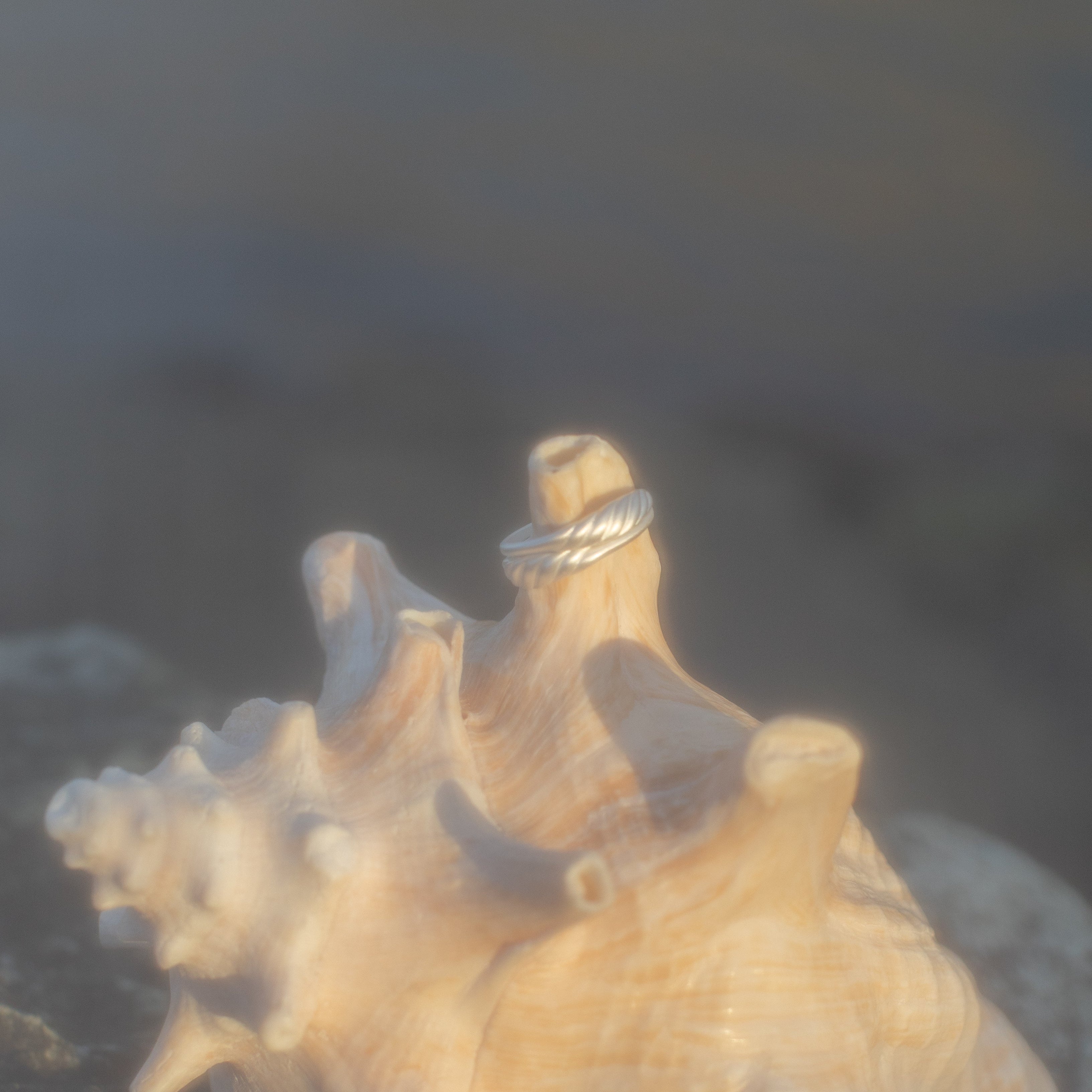 Meridian Signet Ring in Sterling Silver