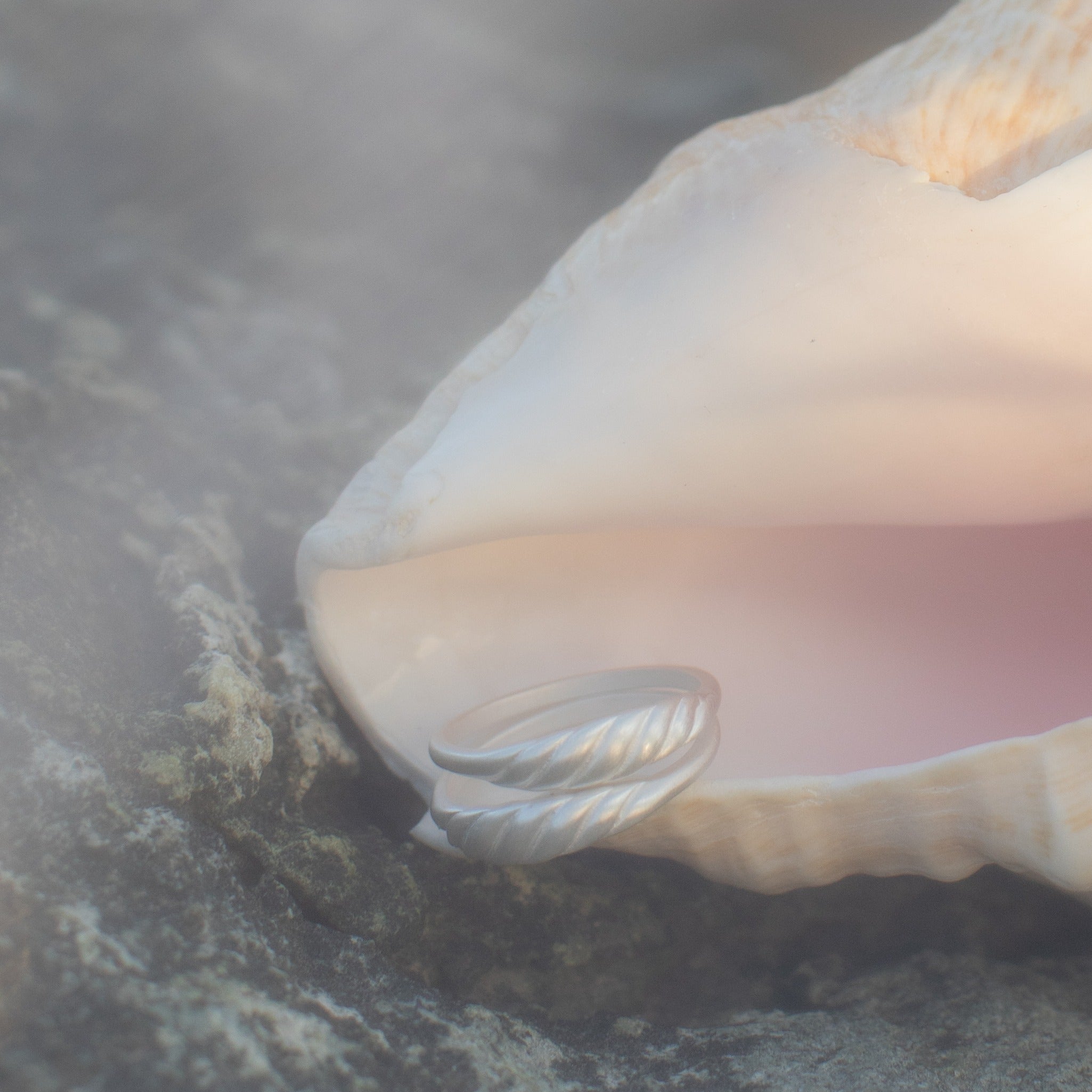 Meridian Signet Ring in Sterling Silver