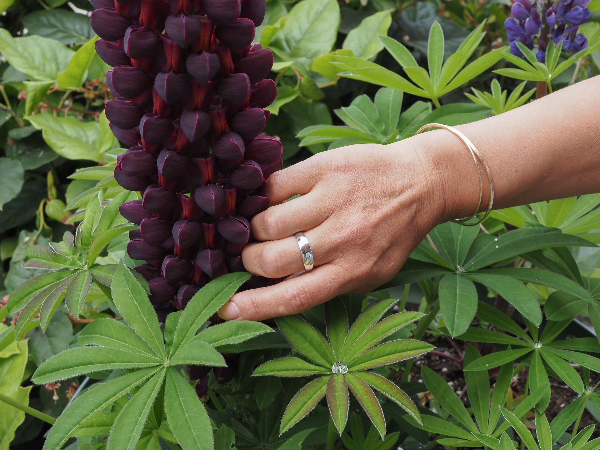 Sterling Silver Cove Ring